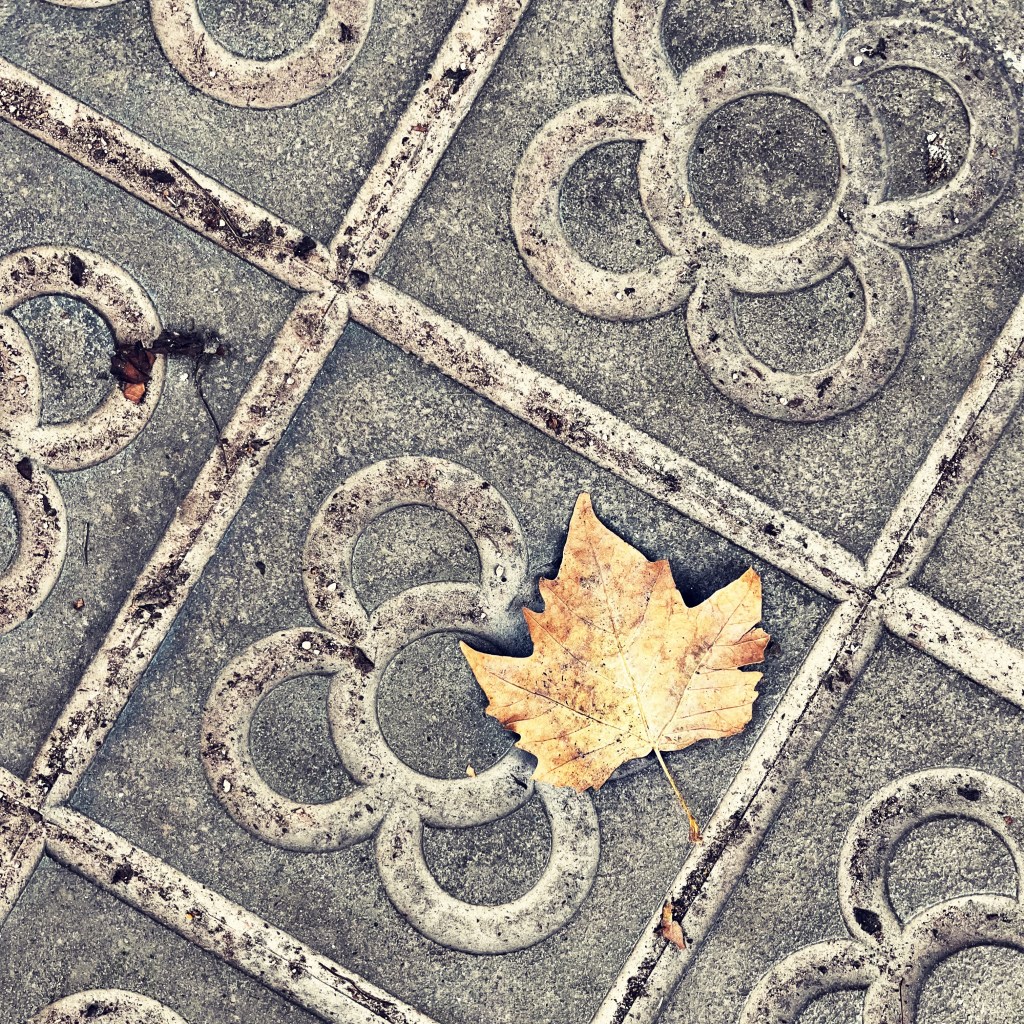 El símbolo de Barcelona // The symbol of&nbsp;Barcelona